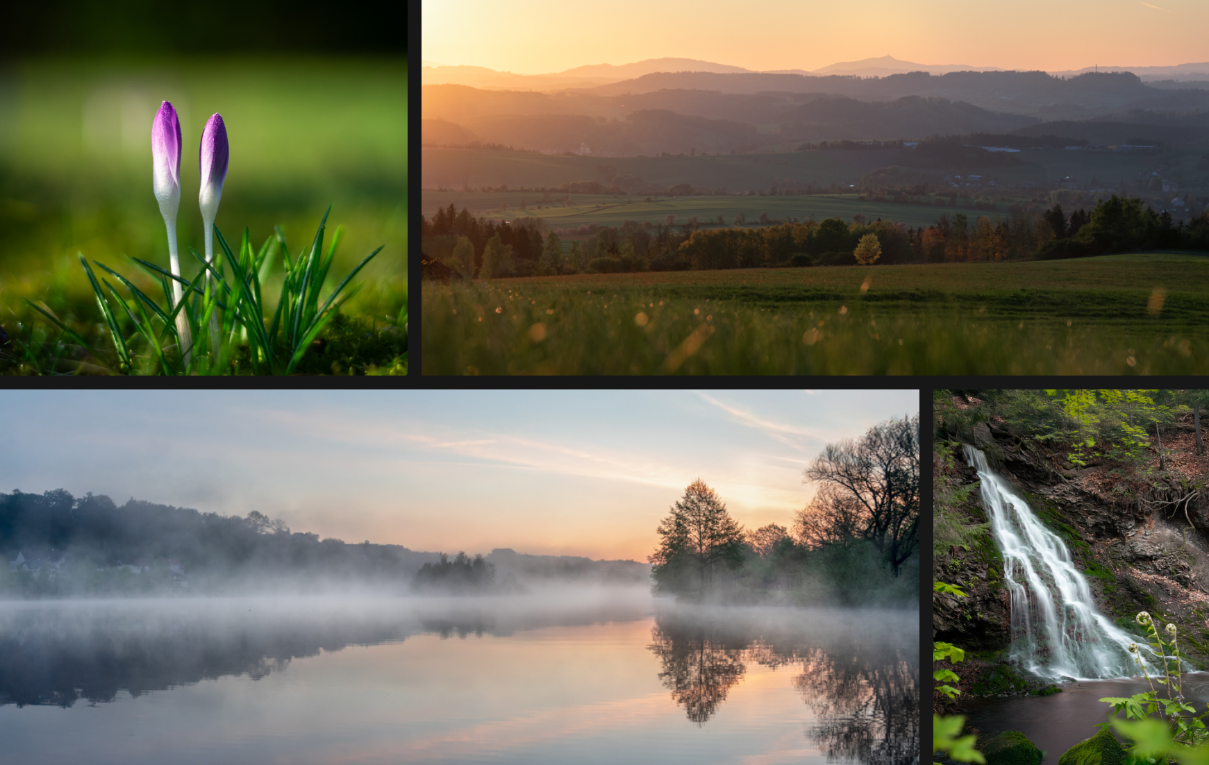 Fotografické kolekce — produktová a architektonická fotografie